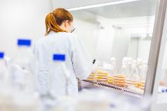 stock-photo-female-scientist-researching-in-laboratory-pipetting-cell-culture-medium-samples-on-lb-agar-plates-283994471